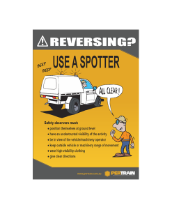 Free Safety Observer Poster